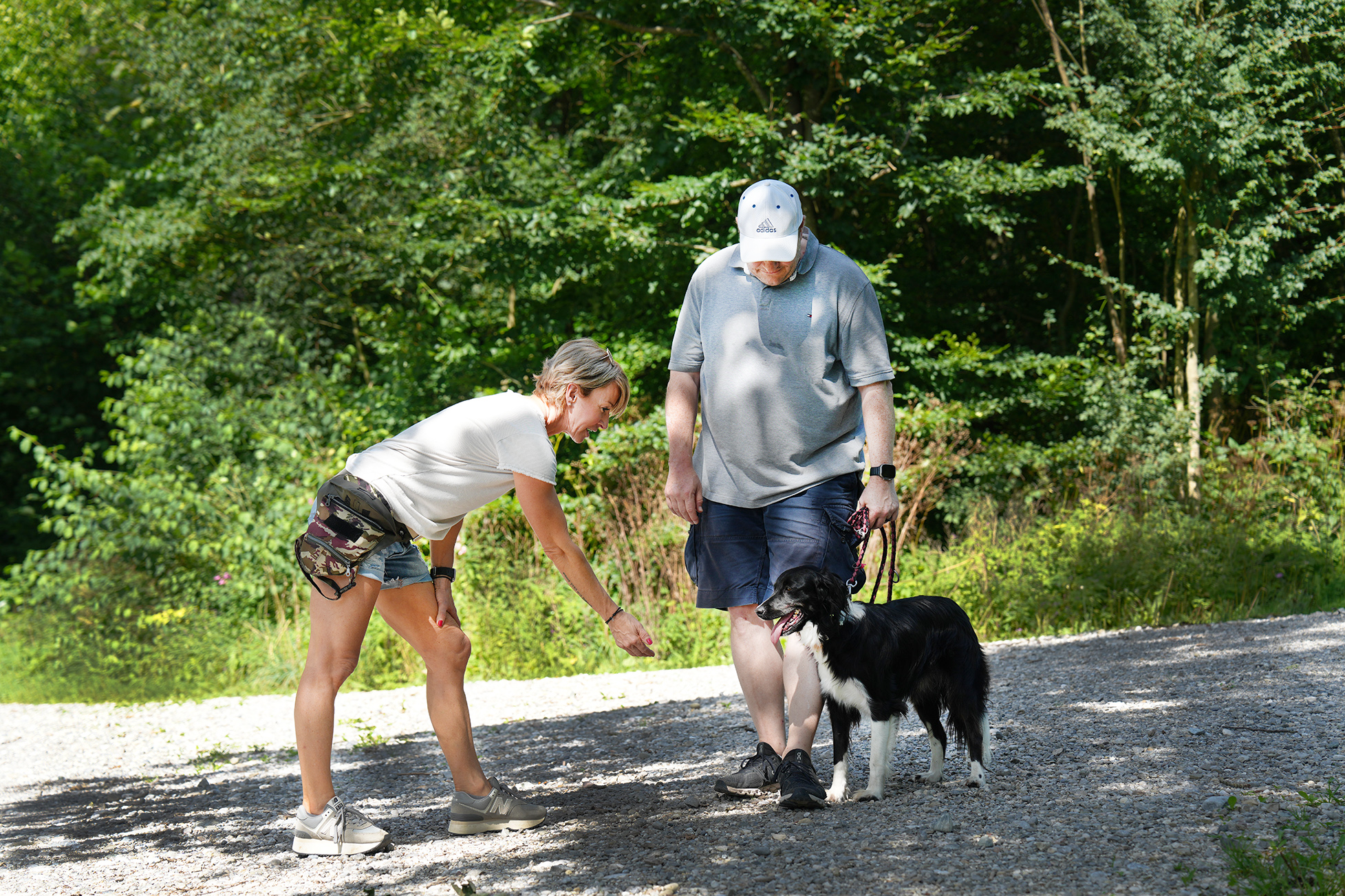 Hundetraining mit Mensch-Hund-Team im Freien