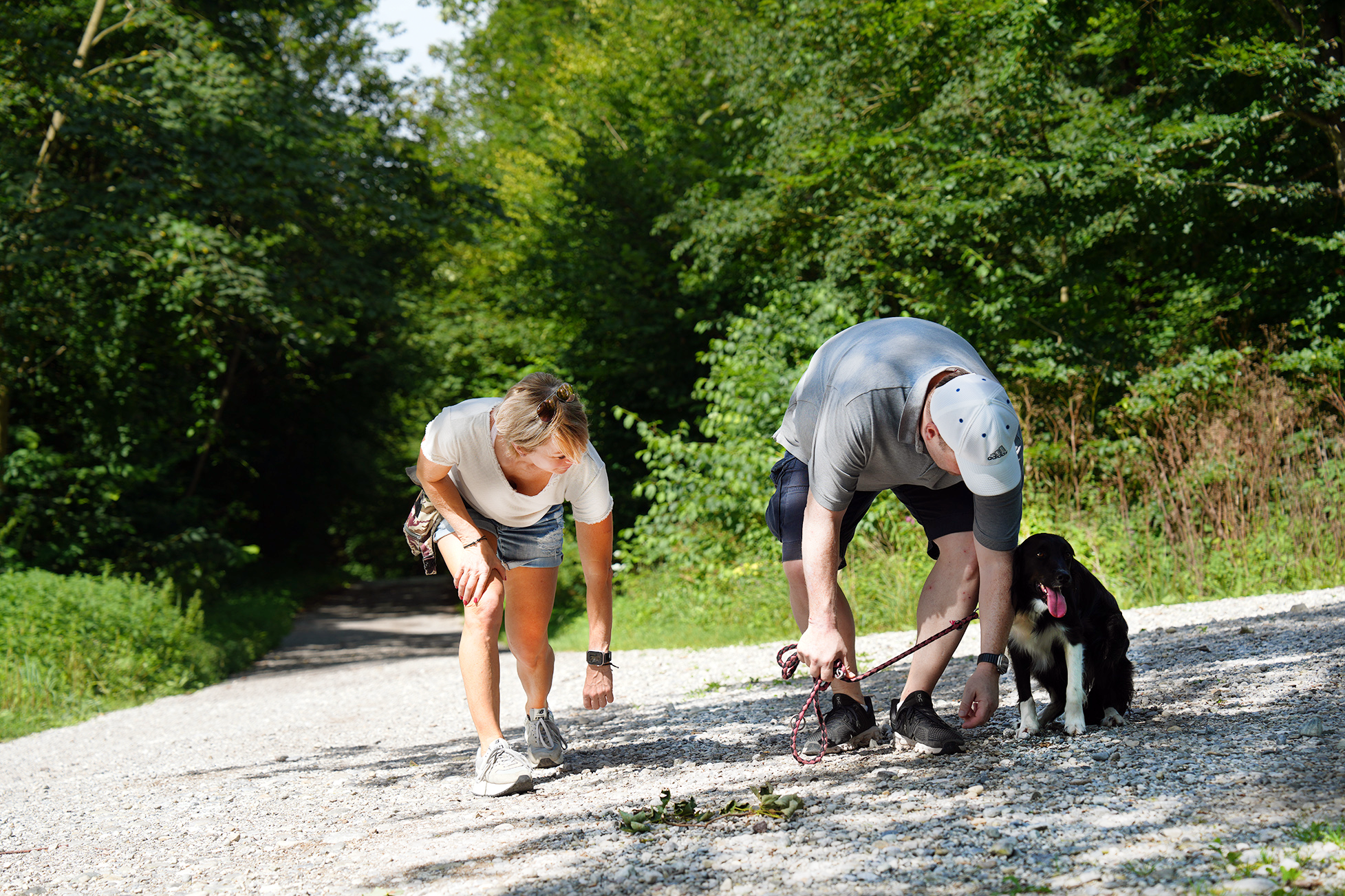 Trainingseinheit mit Hund und Trainerin